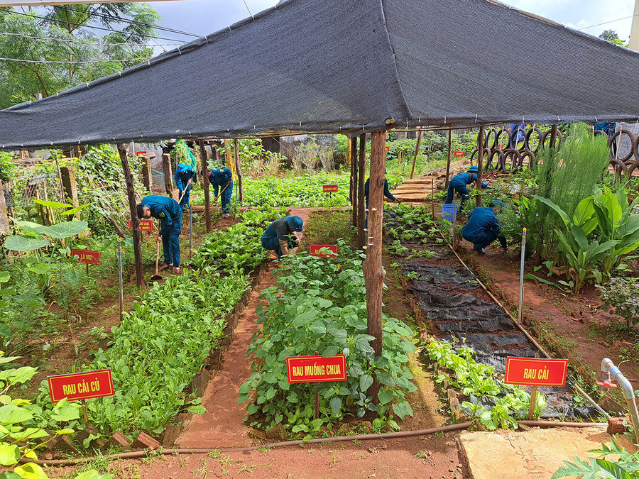 Các chiến sĩ dân quân thường trực xã Ia Pnôn tăng gia sản xuất. Ảnh: V.H Các chiến sĩ dân quân thường trực xã Ia Pnôn tăng gia sản xuất. Ảnh: V.H