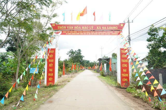 Xã vùng biên vui Tết Độc lập - Ảnh 2. Thôn Hào Lý rực rỡ cờ hoa đón ngày Tết Độc lập.