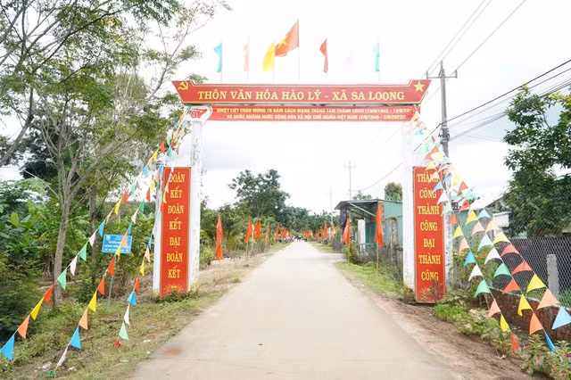 Thôn Hào Lý rực rỡ cờ hoa đón ngày Tết Độc lập.