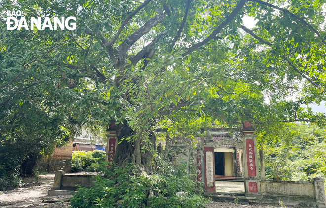 Đình làng Trung Sơn nằm dưới bìa rừng Trung Sơn xây dựng năm 1724 và được người dân trùng tu, sửa chữa năm 2009, đang có dấu hiệu xuống cấp. Ảnh: H.T.V Đình làng Trung Sơn nằm dưới bìa rừng Trung Sơn xây dựng năm 1724 và được người dân trùng tu, sửa chữa năm 2009, đang có dấu hiệu xuống cấp. Ảnh: H.T.V