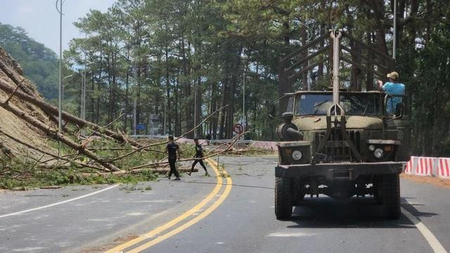 Khẩn cấp cưa hạ thông dọc đèo trước mùa mưa bão. Ảnh: LÂM VIÊN