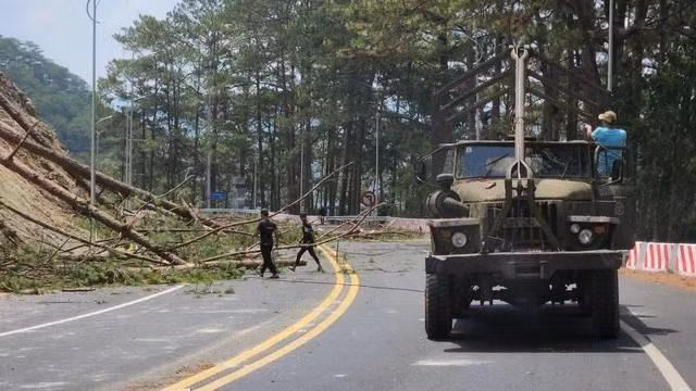 Khẩn cấp cưa hạ thông dọc đèo trước mùa mưa bão. Ảnh: LÂM VIÊN