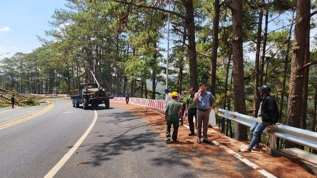 Các cơ quan chức năng chứng kiến việc cưa hạ thông. Ảnh: LÂM VIÊN