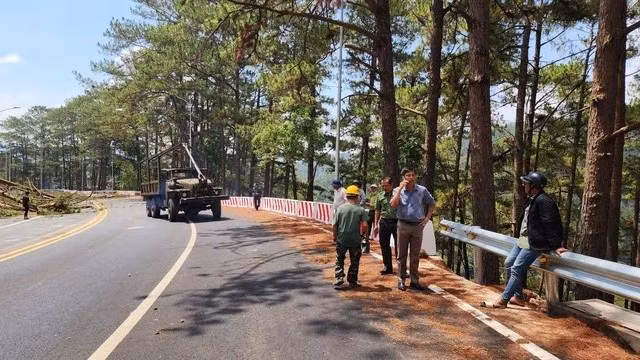 Các cơ quan chức năng chứng kiến việc cưa hạ thông. Ảnh: LÂM VIÊN