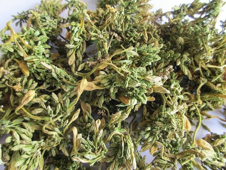 Hoa đu đủ có vị đắng nhẹ, thường sắc nước uống hoặc ngâm với mật ong để bồi bổ sức khỏe. Hoa đu đủ có vị đắng nhẹ, thường sắc nước uống hoặc ngâm với mật ong để bồi bổ sức khỏe.