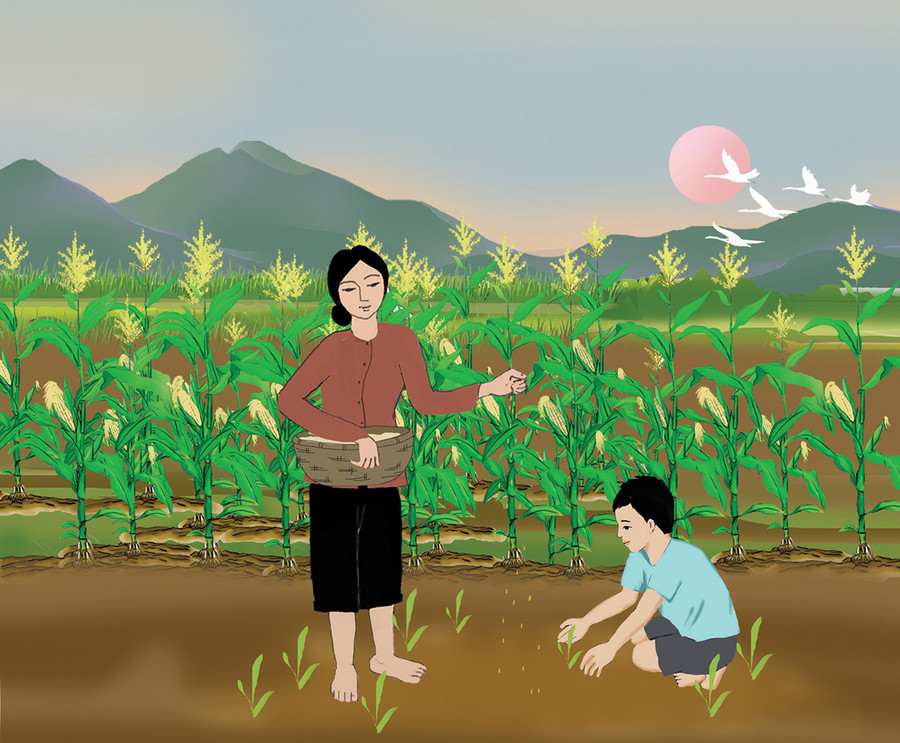 Minh họa: H.T Minh họa: H.T