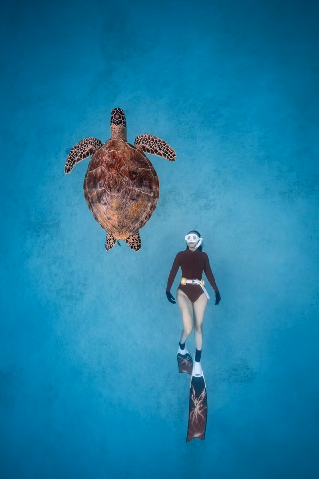"Giấc mơ rùa biển", tác phẩm đoạt giải ảnh quốc gia Sony 2023. Ảnh: NGUYỄN NGỌC THIỆN