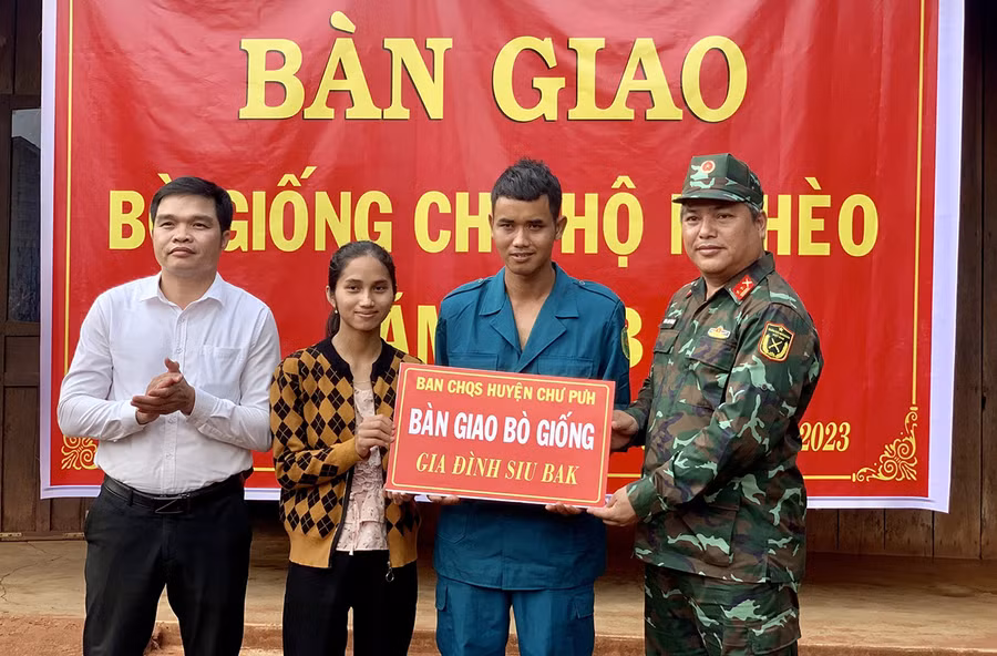 Đại diện Ban Chỉ huy Quân sự huyện Chư Pưh trao tặng bò sinh sản cho gia đình chiến sĩ dân quân Siu Bak (làng Tong Will, thị trấn Nhơn Hòa). Ảnh: H.B Đại diện Ban Chỉ huy Quân sự huyện Chư Pưh trao tặng bò sinh sản cho gia đình chiến sĩ dân quân Siu Bak (làng Tong Will, thị trấn Nhơn Hòa). Ảnh: H.B