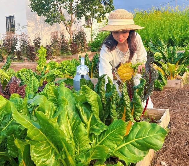 Mỗi luống rau đều được cô chủ chăm sóc cẩn thận. ẢNH: NVCC Mỗi luống rau đều được cô chủ chăm sóc cẩn thận. ẢNH: NVCC