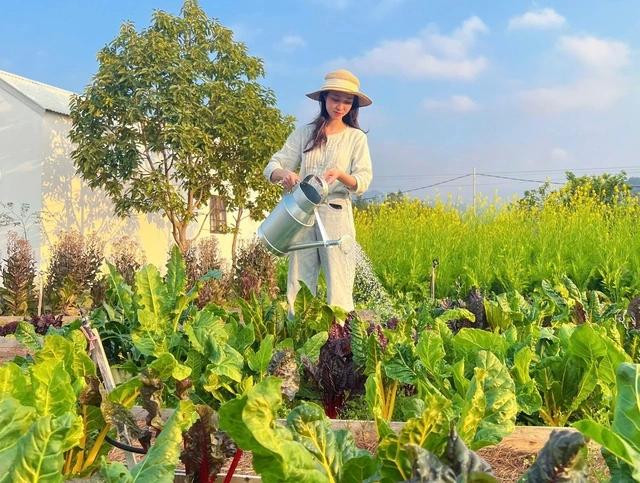 Chị Linh quyết định bỏ phố về miền quê để trồng rau. ẢNH: NVCC Chị Linh quyết định bỏ phố về miền quê để trồng rau. ẢNH: NVCC