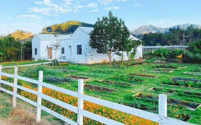 Ngôi nhà và mảnh vườn của chị Linh đẹp tựa trong phim cổ tích. ẢNH: NVCC Ngôi nhà và mảnh vườn của chị Linh đẹp tựa trong phim cổ tích. ẢNH: NVCC