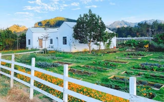 Ngôi nhà và mảnh vườn của chị Linh đẹp tựa trong phim cổ tích. ẢNH: NVCC