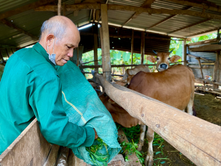 Ngoài tích cực phát triển kinh tế gia đình, ông Ksor Hyao (làng Breng 3, xã Ia Dêr, huyện Ia Grai) luôn tận tụy với trách nhiệm được giao. Ảnh: Hà Duy Ngoài tích cực phát triển kinh tế gia đình, ông Ksor Hyao (làng Breng 3, xã Ia Dêr, huyện Ia Grai) luôn tận tụy với trách nhiệm được giao. Ảnh: Hà Duy