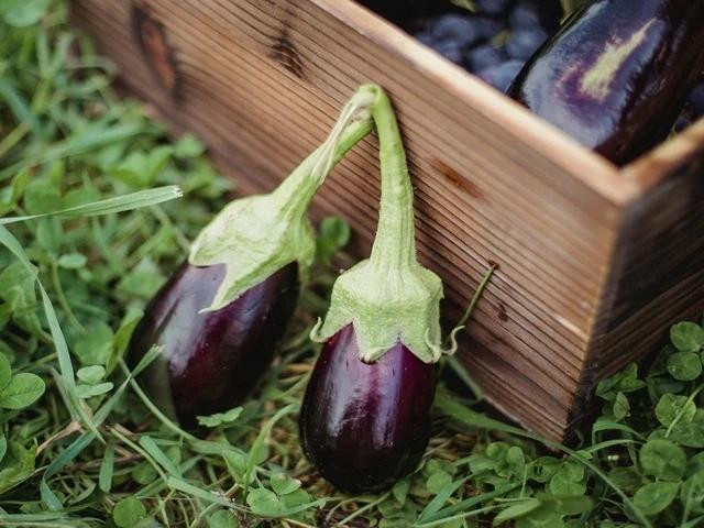 Cà tím chứa nhiều dưỡng chất tốt cho sức khỏe nhưng không nên ăn nhiều vì có thể gây hại. Ảnh PEXELS Cà tím chứa nhiều dưỡng chất tốt cho sức khỏe nhưng không nên ăn nhiều vì có thể gây hại. Ảnh PEXELS