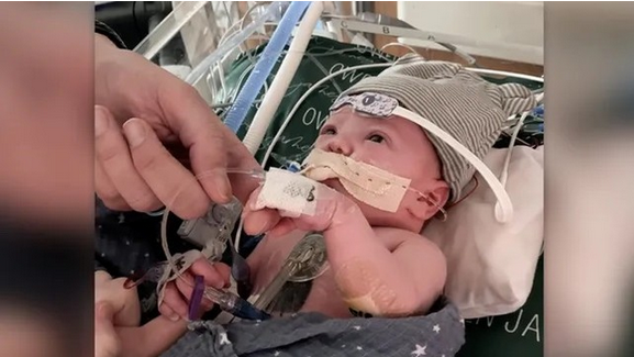 Owen Monroe, người được cấy ghép tim, được chụp hồi tháng 4 năm 2022. (Ảnh: Duke Health)