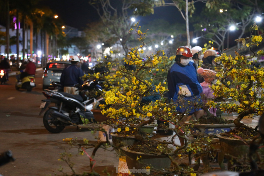 Đến hơn 20h ngày 30 Tết, các tiểu thương chợ hoa Tết Đà Nẵng vẫn tiếp tục hạ giá, tranh thủ vớt vát chút vốn. Ảnh: Giang Thanh