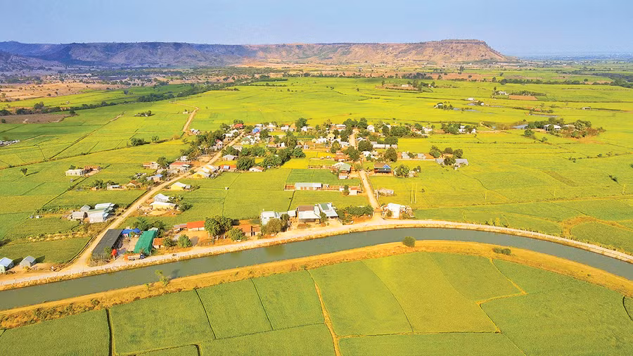 Cánh đồng lúa Phú Thiện nhìn từ trên cao. Ảnh: Minh Châu