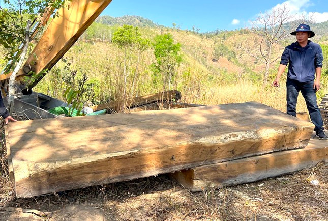 Một trong những hộp gỗ vuông nghi đang được tẩu tán, cách bãi tập kết ban đầu chừng 300m Một trong những hộp gỗ vuông nghi đang được tẩu tán, cách bãi tập kết ban đầu chừng 300m