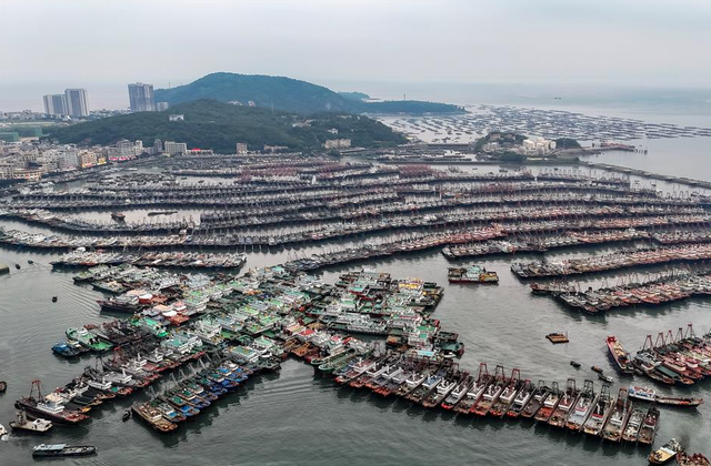 Các tàu đánh cá quay trở lại cảng ở tỉnh Quảng Đông (Trung Quốc) hôm 4-9 tránh bão. Ảnh: Tân Hoa Xã Các tàu đánh cá quay trở lại cảng ở tỉnh Quảng Đông (Trung Quốc) hôm 4-9 tránh bão. Ảnh: Tân Hoa Xã