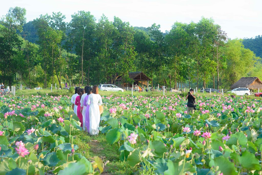 Khi đến đây trải nghiệm ghi lại những tấm hình, các bạn trẻ thường nhắc nhở nhau cùng bảo vệ vẻ đẹp thiên nhiên và không ngắt hoa bẻ cành. Ảnh: Nguyễn Trình