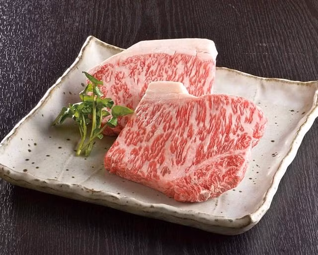 Ảnh ENVATO Ảnh ENVATO