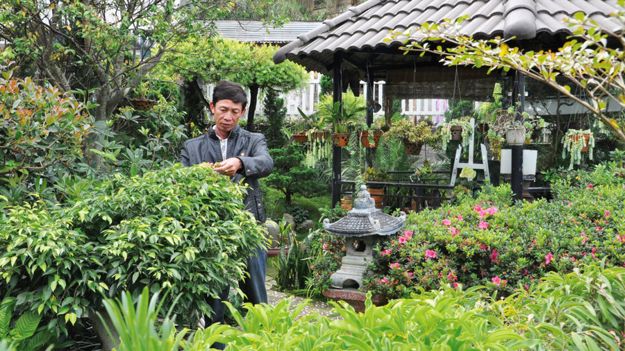 Nhiều tiểu cảnh, khuôn viên đẹp được người Đà Lạt trồng, chăm sóc bằng tình yêu thiên nhiên Nhiều tiểu cảnh, khuôn viên đẹp được người Đà Lạt trồng, chăm sóc bằng tình yêu thiên nhiên