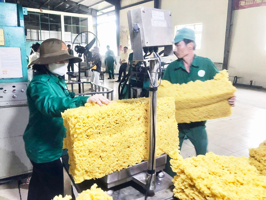 Công nhân nhà máy chế biến của Công ty TNHH một thành viên Cao su Chư Păh đang chế biến cao su. Công nhân nhà máy chế biến của Công ty TNHH một thành viên Cao su Chư Păh đang chế biến cao su.