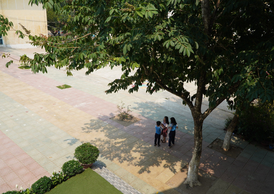 Tán bằng lăng đã che mát cho bao thế hệ học trò. Mỗi khi bằng lăng khoe sắc cũng là lúc báo hiệu mùa hè đang về…