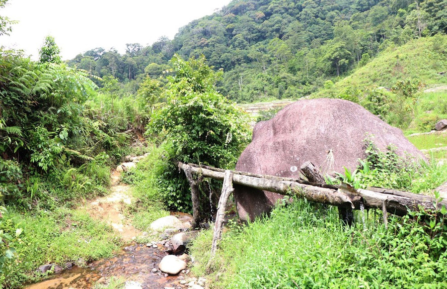 Ảnh minh họa. (Ảnh: Cao Nguyên/TTXVN)