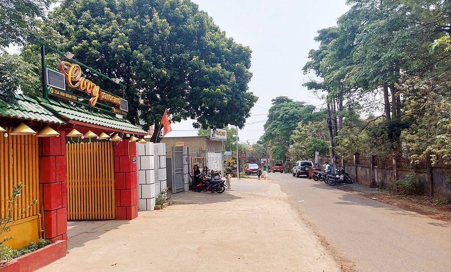 Đường Bùi Đình Túy (phường Hoa Lư, TP. Pleiku). Ảnh: Hoành Sơn