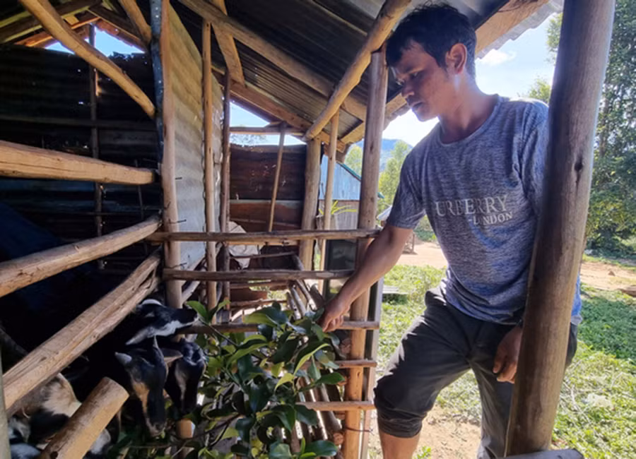 Nhờ được hỗ trợ nuôi dê, gia đình anh Luy (làng Đê Bơ Tưk, xã Đak Jơ Ta) từng bước ổn định cuộc sống. Ảnh: Phạm Ngọc
