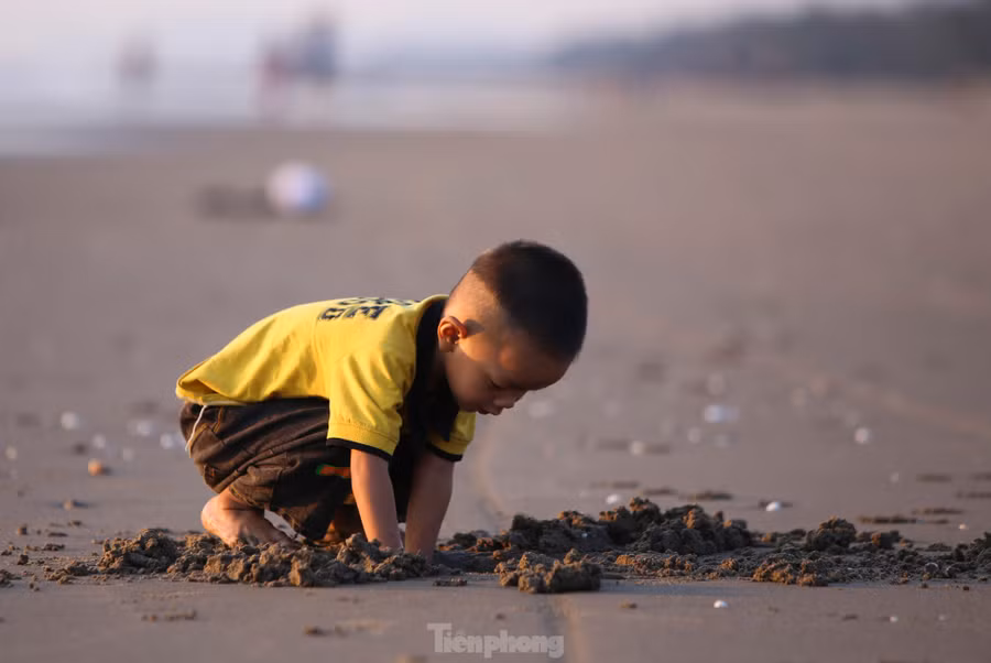 Những em nhỏ vui đùa xây lâu đài cát trên bãi biển.