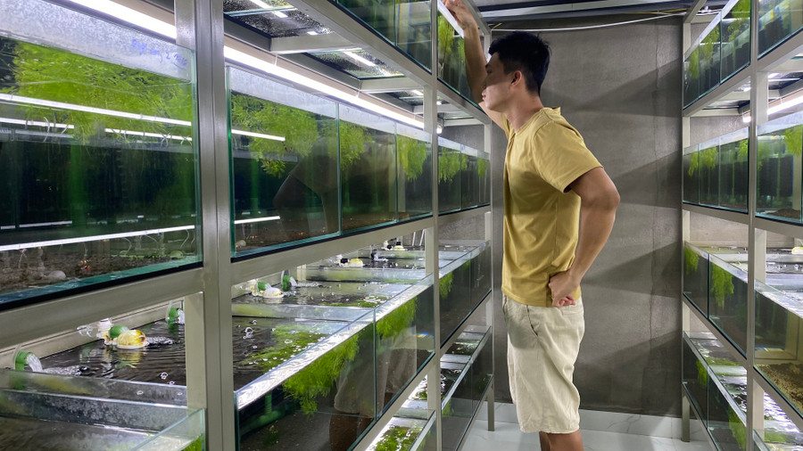 Từ một thú vui, Nhật kiếm được hàng chục triệu đồng mỗi tháng. Ảnh: NVCC