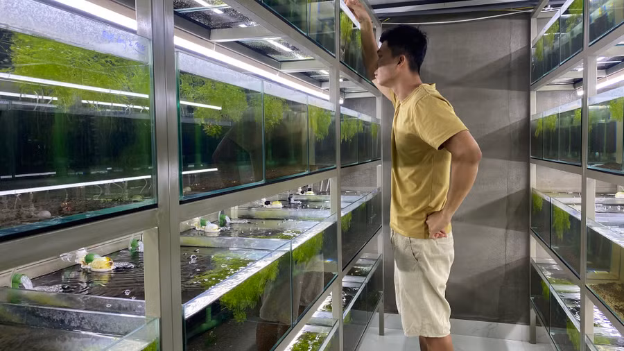 Từ một thú vui, Nhật kiếm được hàng chục triệu đồng mỗi tháng. Ảnh: NVCC