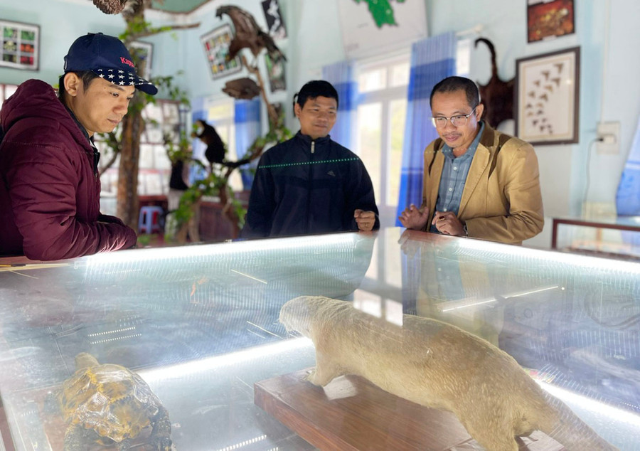 Phòng tiêu bản tại Vườn Quốc gia Kon Ka Kinh với nhiều mẫu động-thực vật được bảo tồn nguyên dạng giúp khách tham quan hiểu rõ hơn về đa dạng sinh học ở đây. Ảnh: L.N