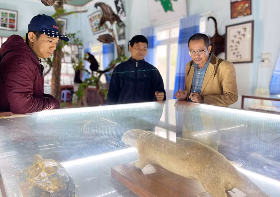 Phòng tiêu bản tại Vườn Quốc gia Kon Ka Kinh với nhiều mẫu động-thực vật được bảo tồn nguyên dạng giúp khách tham quan hiểu rõ hơn về đa dạng sinh học ở đây. Ảnh: L.N