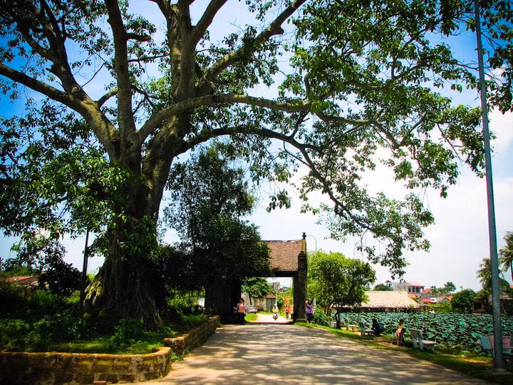 Hiện làng Đường Lâm vẫn lưu giữ được những nét đặc trưng cơ bản của một ngôi làng ở Bắc Bộ.