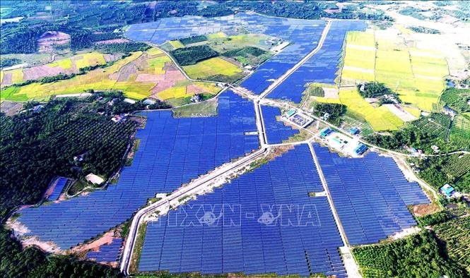Dự án điện mặt trời Cư Jút bị xác định đã xây dựng trên đất trồng lúa và đất trồng cây lâu năm. Ảnh: TTXVN