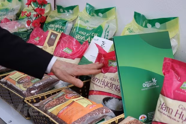 Chỉ số giá nhóm gạo tăng 4,41%. Báo cáo chỉ ra giá gạo trong nước nhích lên theo giá gạo xuất khẩu. (Ảnh: PV/Vietnam+)