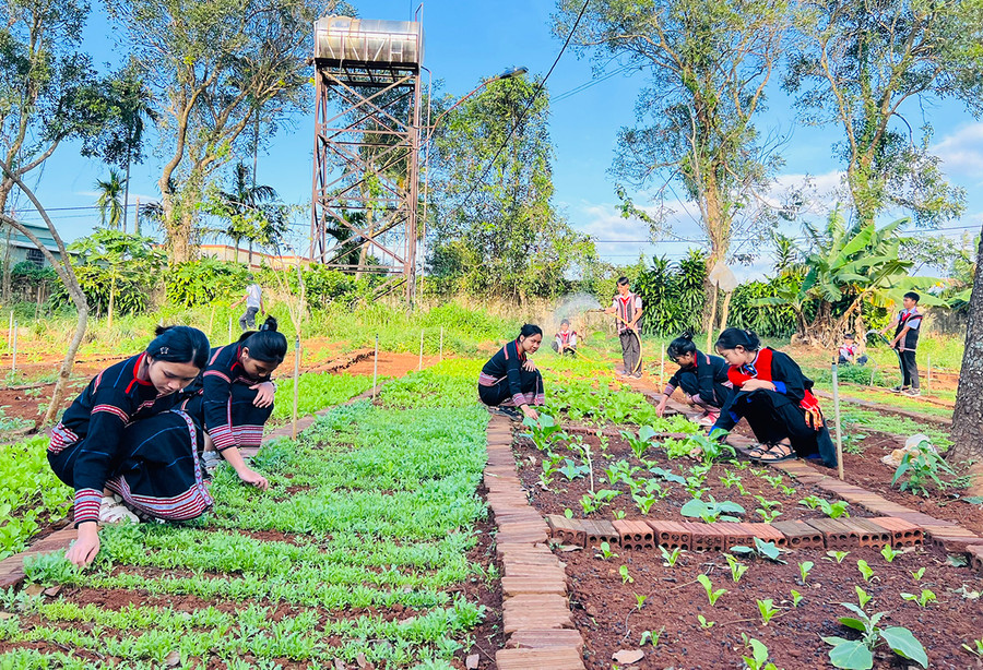 Liên đội Trường THCS Dân tộc Nội trú huyện Ia Grai tạo không gian trải nghiệm cho học sinh. Ảnh: Phan Lài
