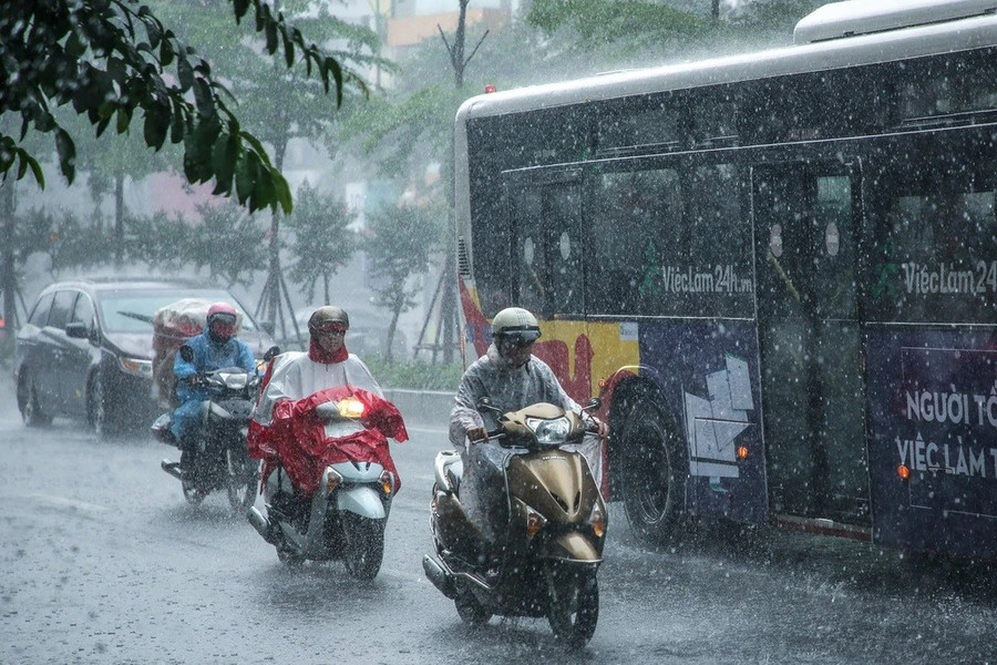 (Ảnh: Lê Minh Sơn/Vietnam+) (Ảnh: Lê Minh Sơn/Vietnam+)