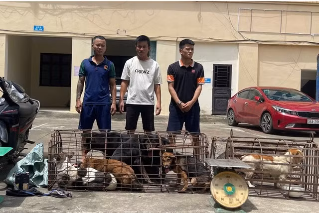 Ổ nhóm trộm chó và tang vật. Ảnh: Công an Thanh Hóa