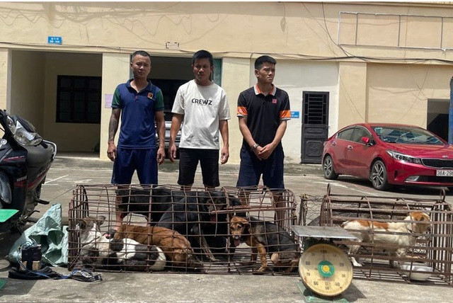 Ổ nhóm trộm chó và tang vật. Ảnh: Công an Thanh Hóa