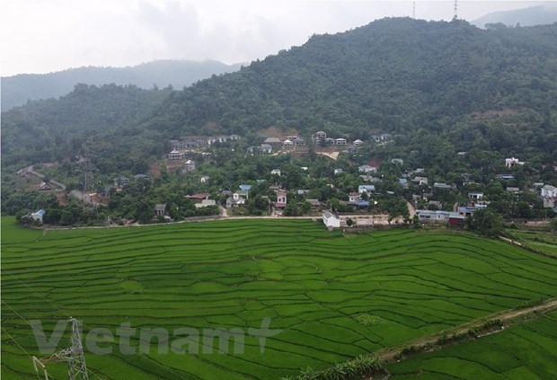 Ảnh minh họa. (Ảnh: Hùng Võ/Vietnam+) Ảnh minh họa. (Ảnh: Hùng Võ/Vietnam+)