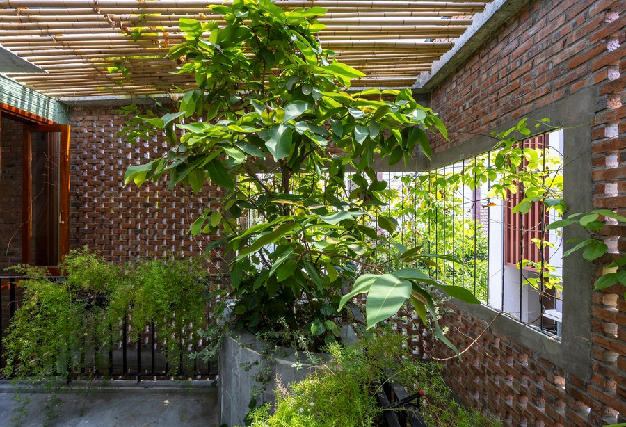 Đồng thời, gia chủ mong muốn ngôi nhà có nhiều ánh sáng khuếch tán, có vườn cây và không khí trong lành.