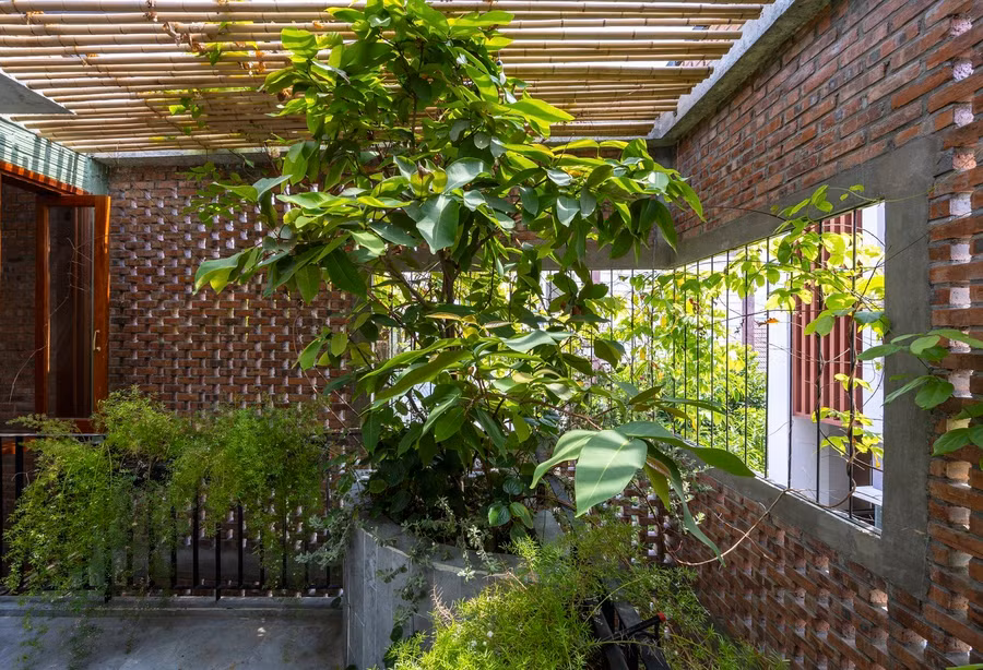 Đồng thời, gia chủ mong muốn ngôi nhà có nhiều ánh sáng khuếch tán, có vườn cây và không khí trong lành.