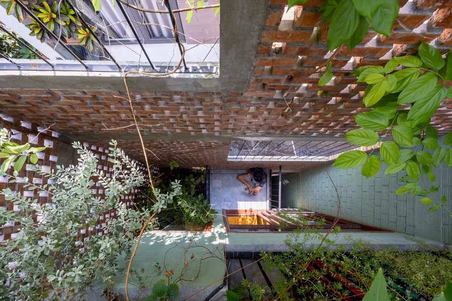 Giếng trời lớn trên mái nhà có thể nhìn thấy từ tầng trệt.