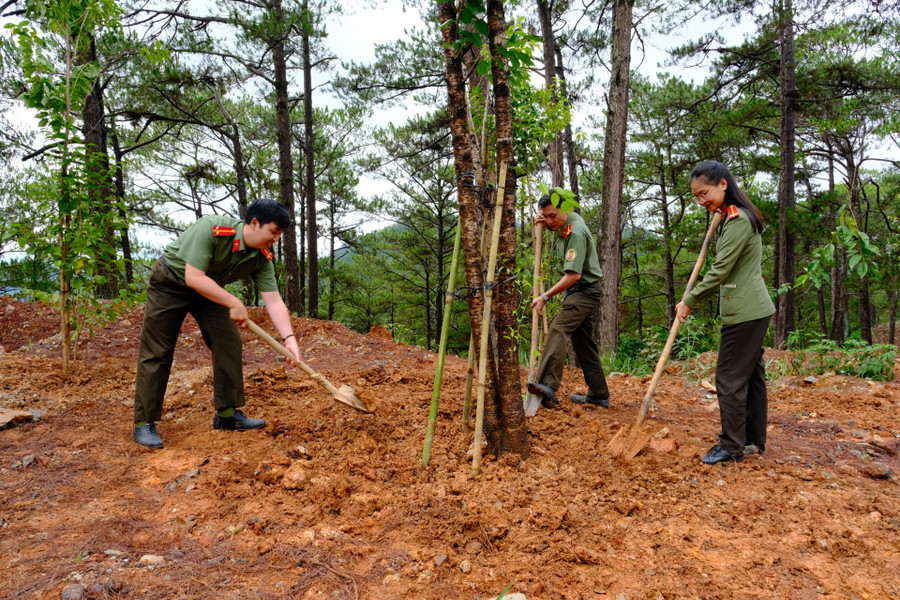 Lực lượng Công an TP Đà Lạt hưởng ứng lời kêu gọi và tham gia trồng cây xanh tạo cảnh quan vào sáng nay Lực lượng Công an TP Đà Lạt hưởng ứng lời kêu gọi và tham gia trồng cây xanh tạo cảnh quan vào sáng nay