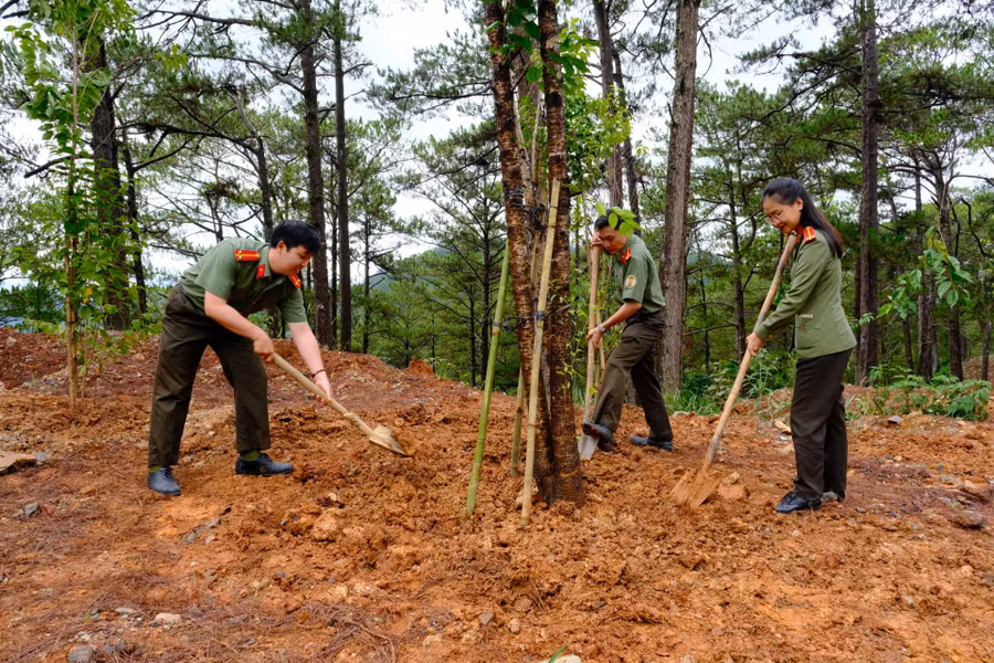 Lực lượng Công an TP Đà Lạt hưởng ứng lời kêu gọi và tham gia trồng cây xanh tạo cảnh quan vào sáng nay