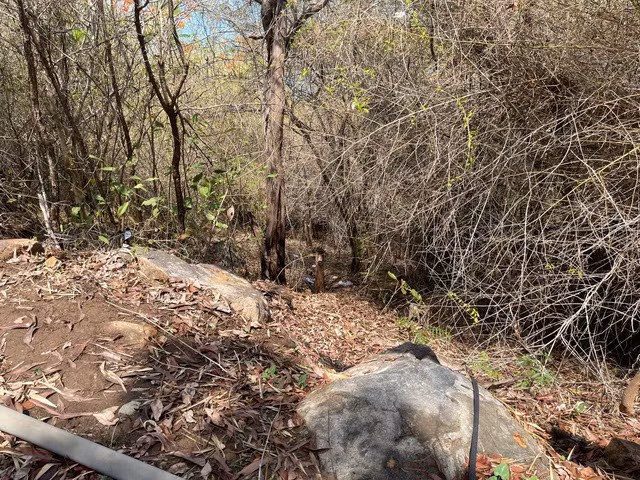 Khu vực phát hiện ra chiếc va li bên trong chứa thi thể